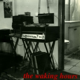 Imagen destacada de grupo: The Waking Hours